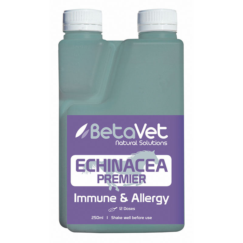 Echinacea Premier | Immune & Allergy