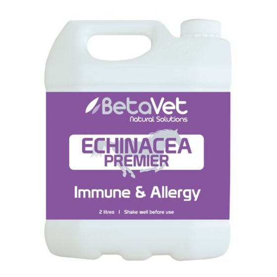 Echinacea Premier | Immune & Allergy