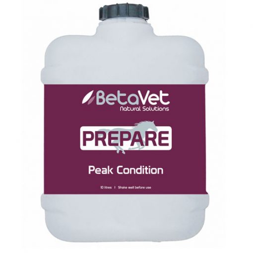 Prepare | Peak Condition