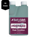 Prepare | Peak Condition