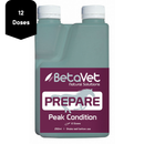 Prepare | Peak Condition