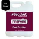 Prepare | Peak Condition