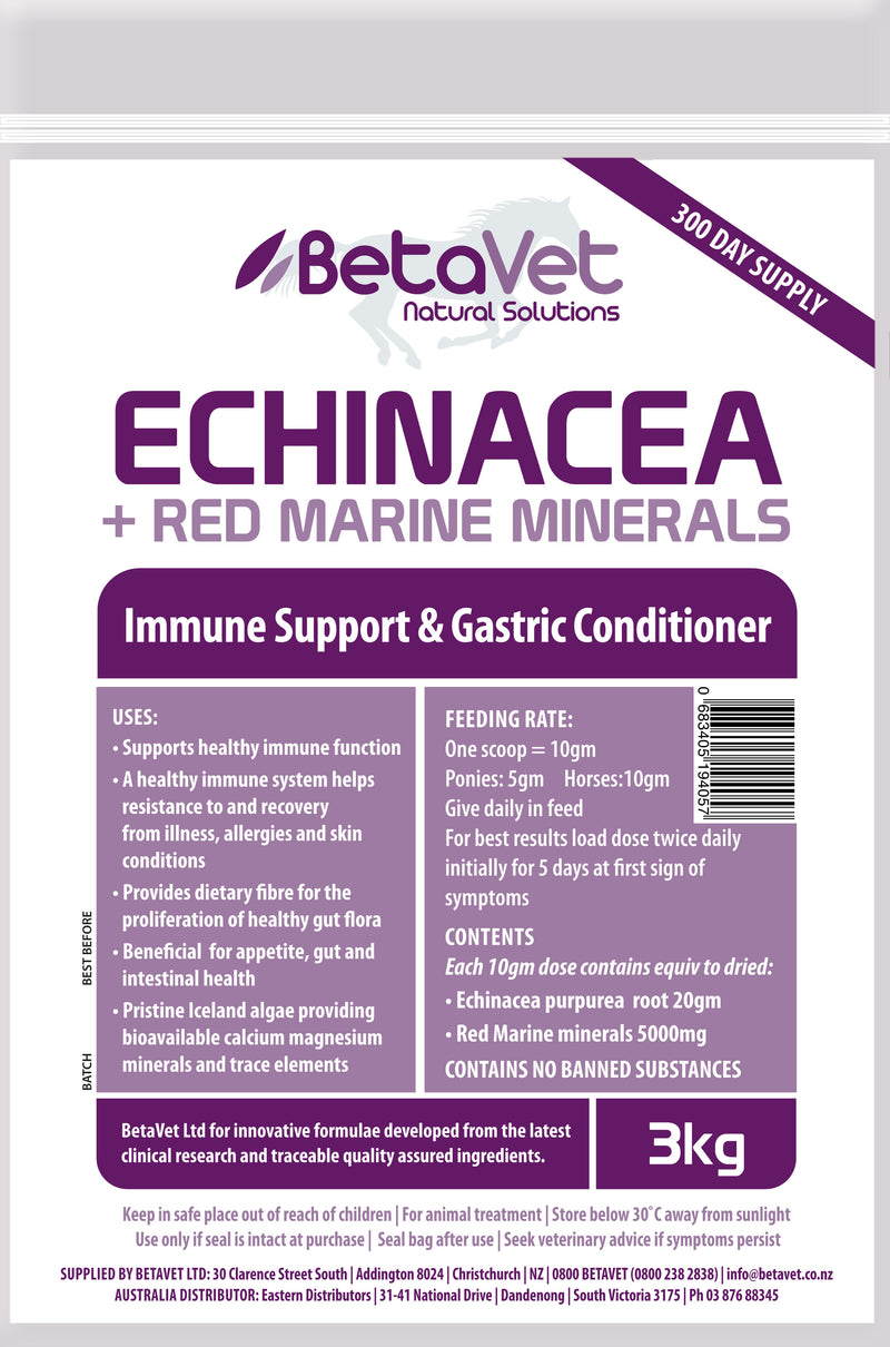 Echinacea + Red Marine Minerals Immune Support and Gastric Conditioner