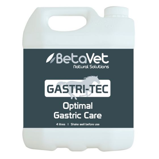 Gastri-Tec | Gastric Conditioner