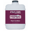 Prepare | Peak Condition