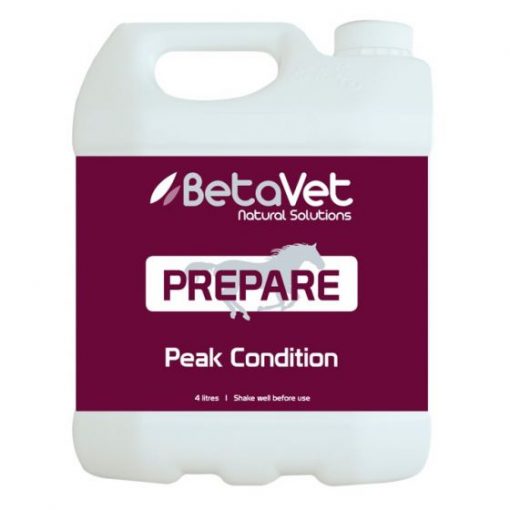 Prepare | Peak Condition